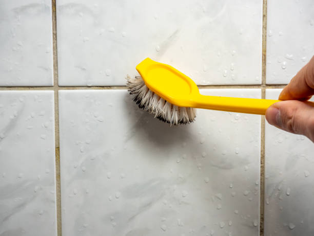 Best Mold Testing and Inspection Services in Crosby, ND