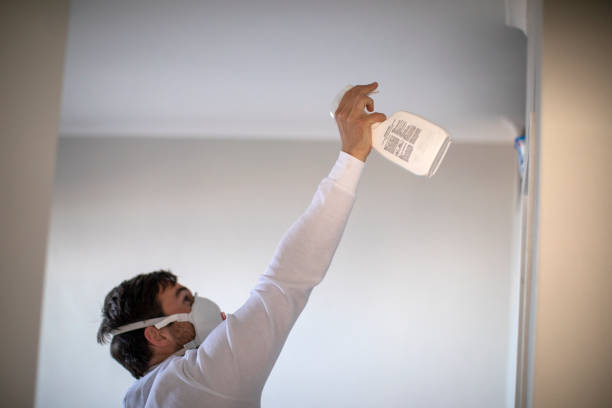 Best Attic Mold Remediation in Crosby, ND