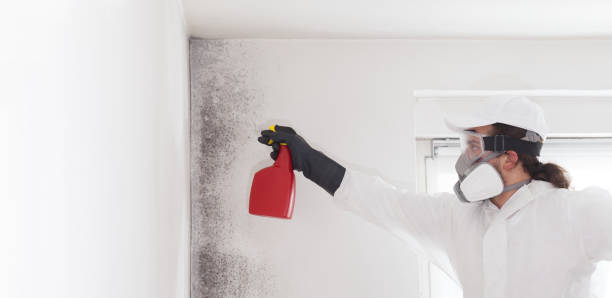 Best Mold Remediation for Specific Building Types in Crosby, ND