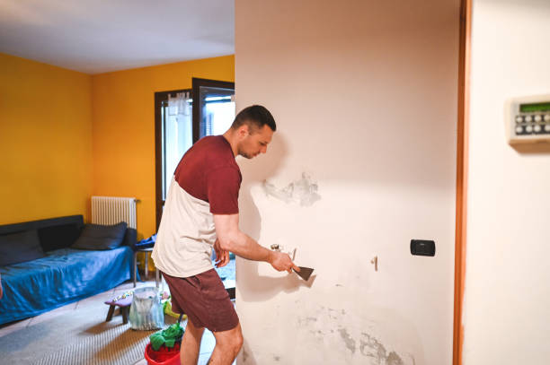 Best DIY Mold Remediation Support Services in Crosby, ND