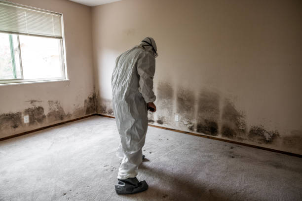 Best Post-Remediation Services in Crosby, ND